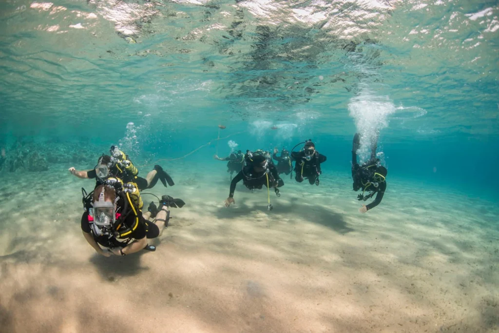 diving in aqaba