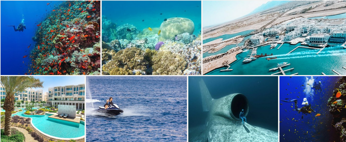 Aqaba Day Trip